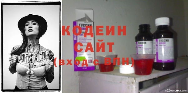 амф Гусиноозёрск