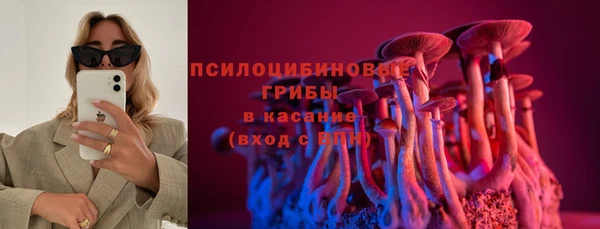 амф Гусиноозёрск