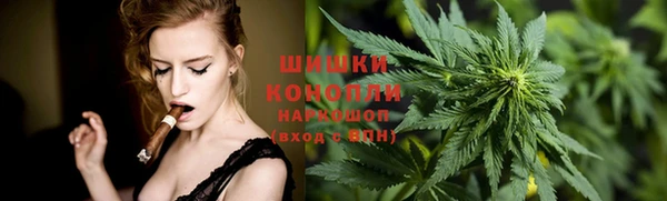 амф Гусиноозёрск