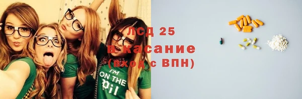 трава Гусев