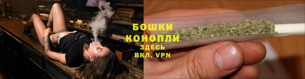 трава Гусев