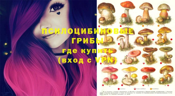 мдпв Сафоново