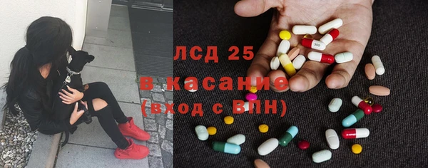 трава Гусев