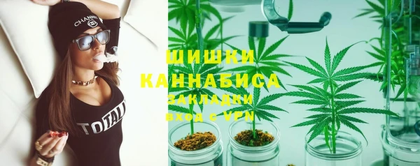 амф Гусиноозёрск