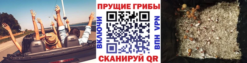 Галлюциногенные грибы прущие грибы  Дмитровск 